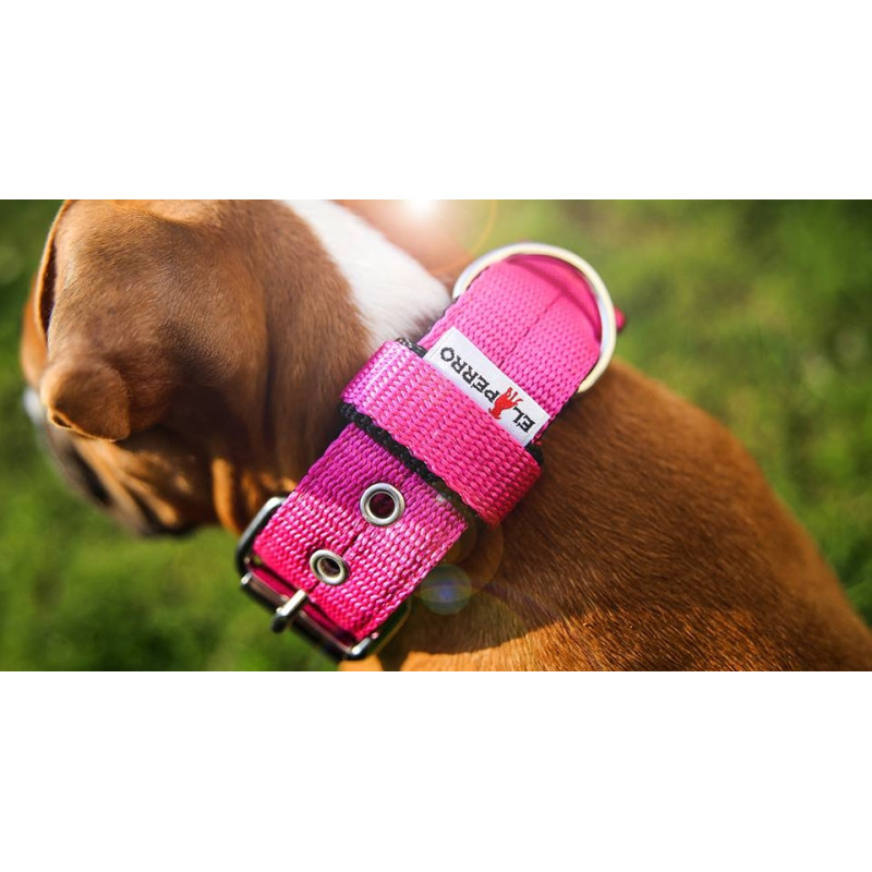 Collar JUICY TRIPLE 4 cm