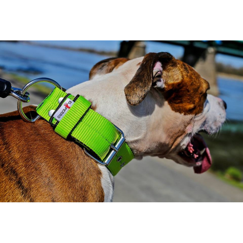 Collar JUICY TRIPLE 4 cm