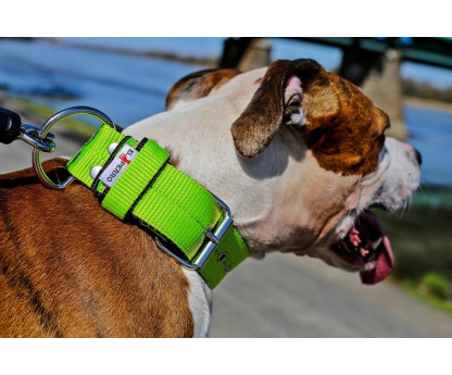 Collar JUICY TRIPLE 4 cm