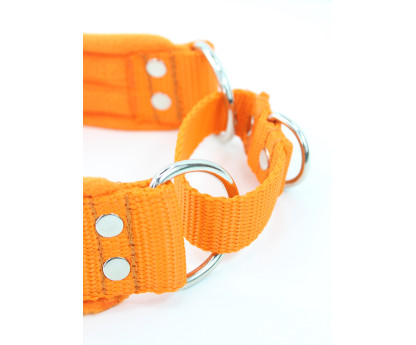 Collar HALF CHOKE JUICY FLEECE COMFORT  4 cm