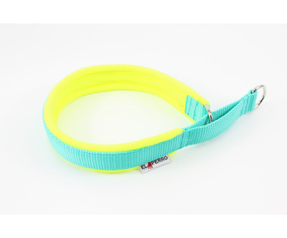 Obroża półzaciskowa MARTINGALE 2,5cm