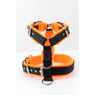 Harness TRIPLE FLEECE 3cm