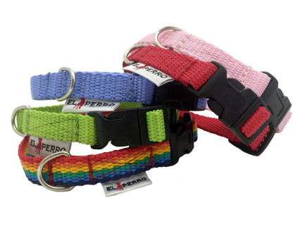 Collar PUPPY CLICK 1,5 cm