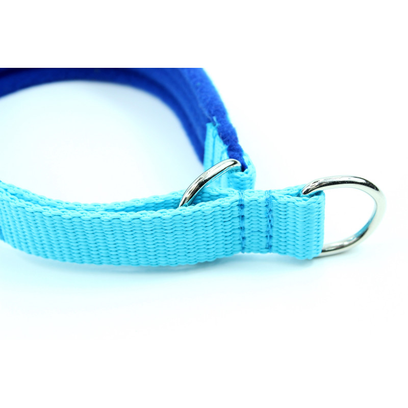 Collar HALF CHOKE MARTINGALE 2,5cm