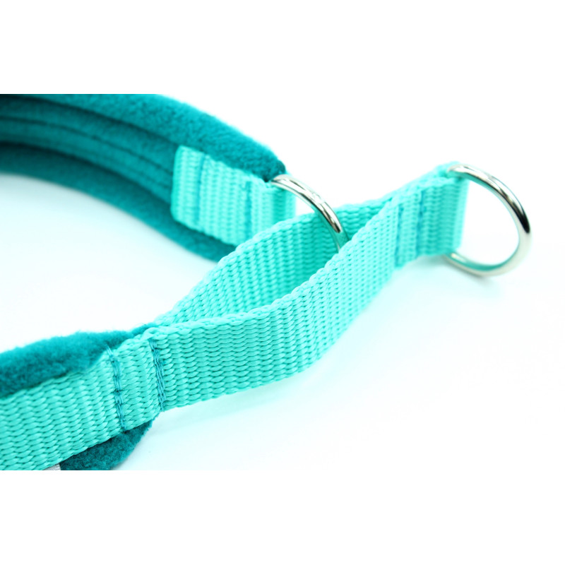 Collar HALF CHOKE MARTINGALE 2,5cm