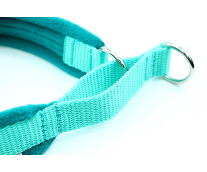 Obroża półzaciskowa MARTINGALE 2,5cm