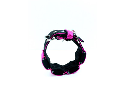 Collar training weight 5 cm