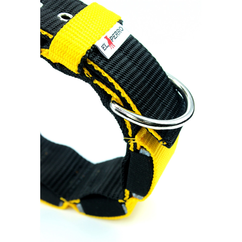 Collar training weight 5 cm