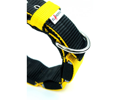 Collar training weight 5 cm