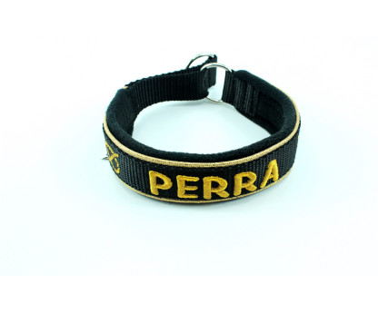 Obroża Martingale 3 cm z Polarem dla Staffików