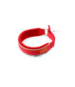 Obroża Martingale Gold 3 cm z Polarem dla Staffików