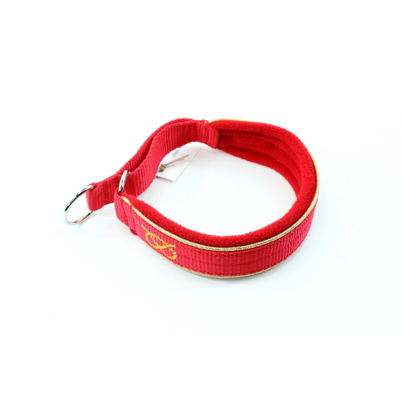 Obroża Martingale Gold 3 cm z Polarem dla Staffików