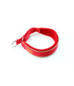 Obroża Martingale Gold 3 cm z Polarem dla Staffików