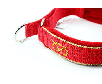 Collar Martingale Gold 3 cm Fleece for Staffies