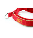 Obroża Martingale Gold 3 cm z Polarem dla Staffików