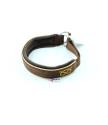 Obroża Martingale Gold 3 cm z Polarem dla Staffików
