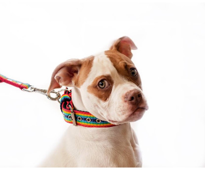 Collar JUICY  3 cm