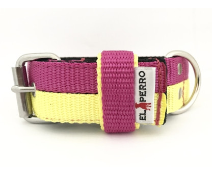 JUICY DOUBLE COLOR COLLAR 4CM
