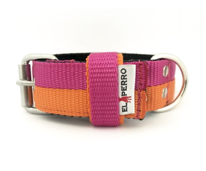 JUICY DOUBLE COLOR COLLAR 4CM