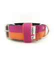JUICY DOUBLE COLOR COLLAR 4CM