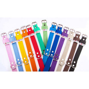 Obroża 2,5 cm Combi