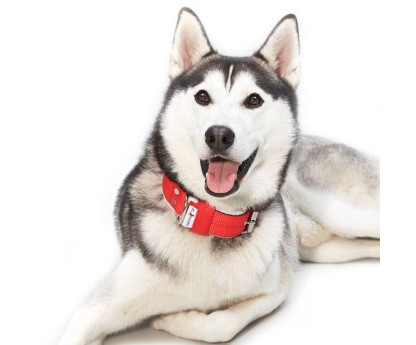 Collar FLEECE COMFORT 4 cm