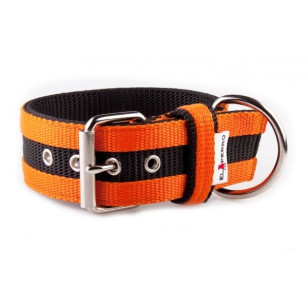 Collar JUICY STRIPS 5 cm