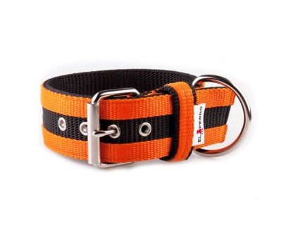 Obroża JUICY STRIPS 5 cm