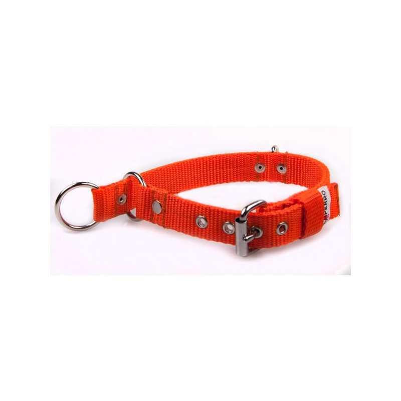 Collar COMBI 2 in 1 2,5 cm