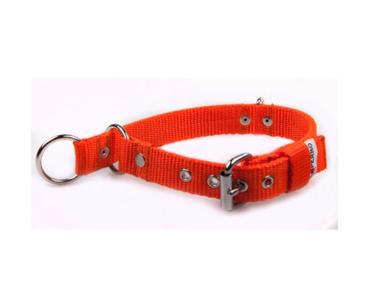 Collar COMBI 2 in 1 2,5 cm