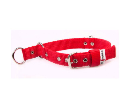 Collar COMBI 2 in 1 2,5 cm