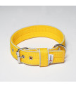 GLOW EDITION COLLAR 4CM