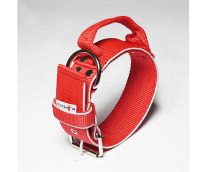 Collar SAFE GRIP GLOW 5 cm