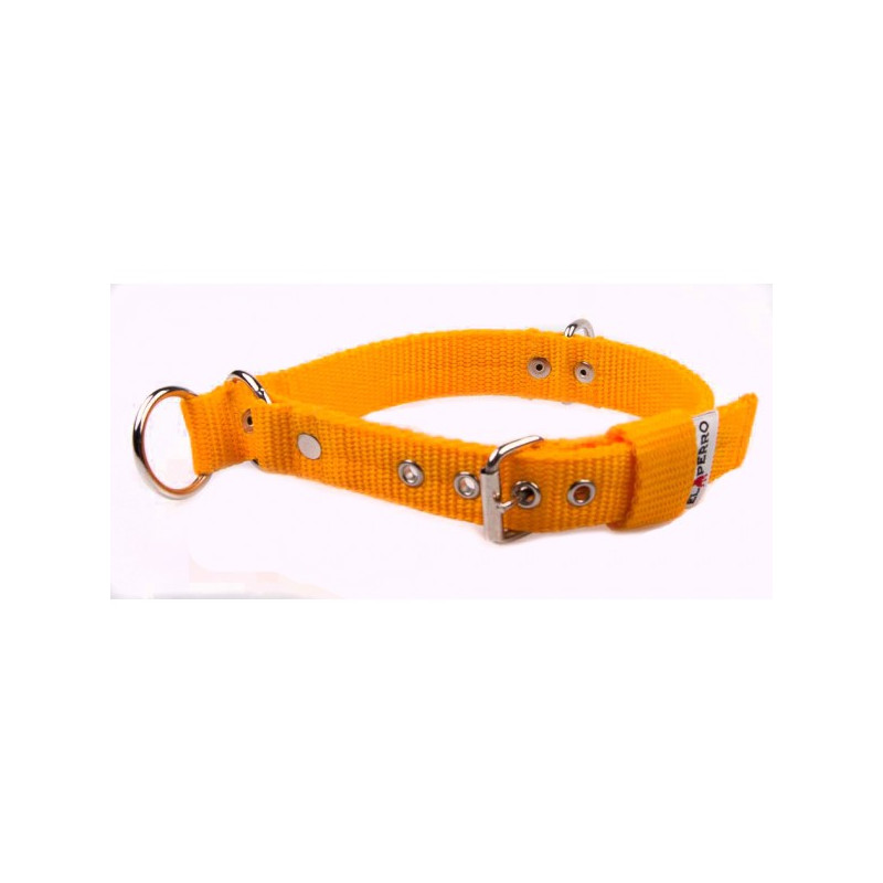 Collar COMBI 2 in 1 2,5 cm
