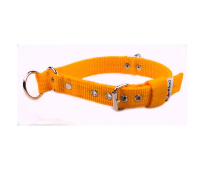 Collar COMBI 2 in 1 2,5 cm