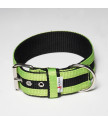 Collar JUICY STRIPS 5 cm