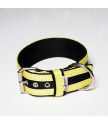 Collar JUICY STRIPS 5 cm