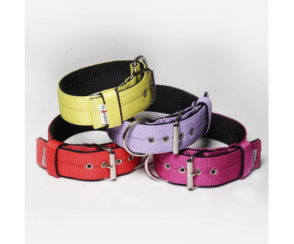 Obroża z półkolem  JUICY TRIPLE KENNEL 5 cm