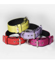 Collar JUICY TRIPLE KENNEL 5 cm