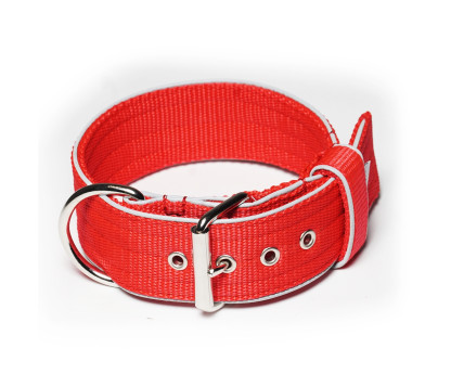 GLOW EDITION COLLAR 5CM