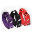 Collar SAFE GRIP  5 cm