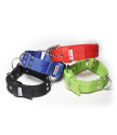 Collar TRIPLE COMBI  2 in 1  4 cm
