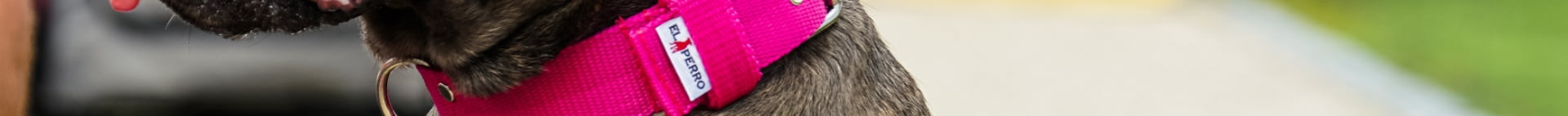 Obroża zaciskowa FLEECE COMFORT CHOKE CAMOUFLAGE 4 cm